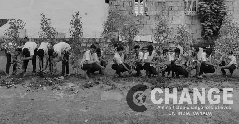 Chnage Ngo Plantation